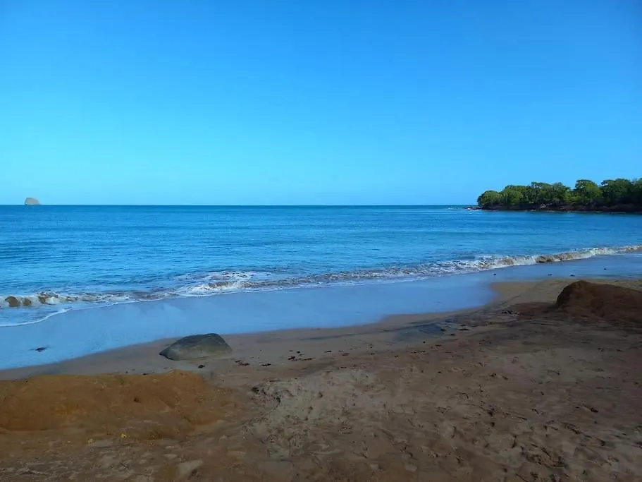 Les Cocons De Sainte-Rose, Location De Vacances Guadeloupe